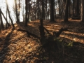 DSC_1563-Edit
