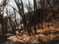 DSC_1565-Edit