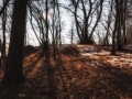 DSC_1568-Edit
