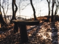 DSC_1572-Edit
