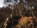 DSC_1579-Edit