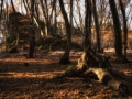 DSC_1645-Edit