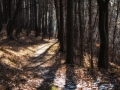 DSC_1658-Edit