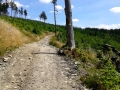 20150801_122818.jpg