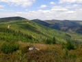 20150801_125644.jpg