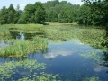 Bialystok2