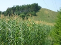 Bialystok6