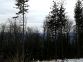 20160305_124633.jpg