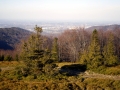 klimczok16