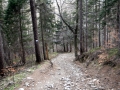 klimczok23