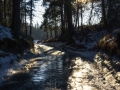 DSC_0248-Edit