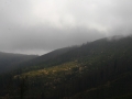 malinowa10