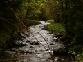 malinowa5