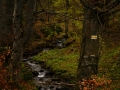 malinowa6