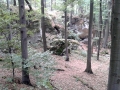 20150920_144457.jpg