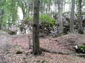 20150920_145931.jpg