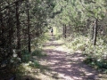 20160807_154441