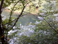 20160807_170306