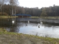 20160227_104137.jpg