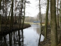 20160227_104827.jpg