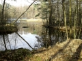 20160227_105730.jpg