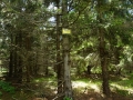 14 (Kopiowanie)