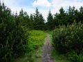 16 (Kopiowanie)