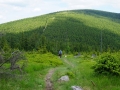 17 (Kopiowanie)