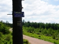 3 (Kopiowanie)