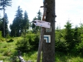 35 (Kopiowanie)