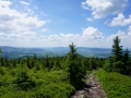 4 (Kopiowanie)