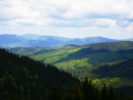 zabnica10