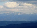 zabnica11