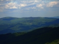 zabnica12