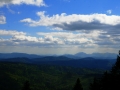 zabnica13