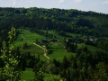 zabnica15