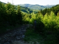 zabnica16