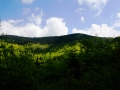 zabnica4