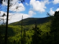 zabnica5