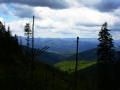 zabnica7