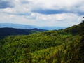 zabnica8