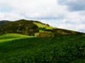 zabnica9