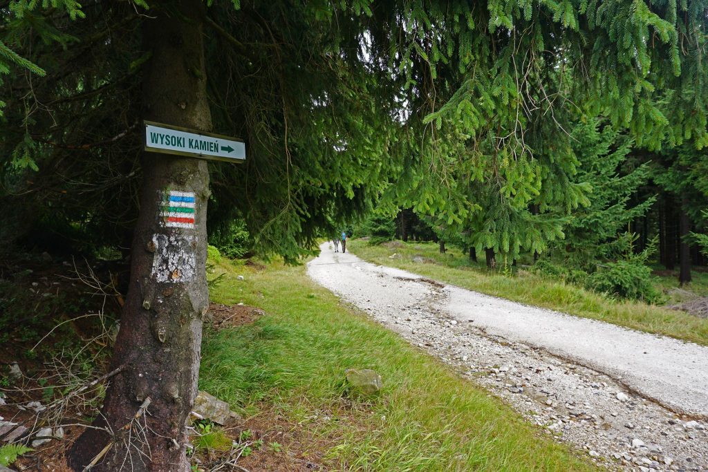 Ścieżka rowerowa, na którą z Rozdroża pod Garbami schodzą szlaki niebieski, zielony, czerwony.